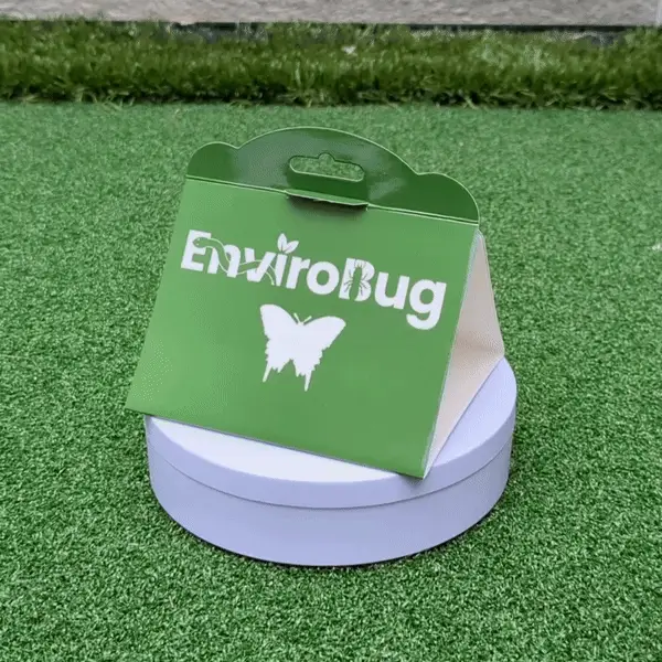 Lure+Stick: Pheromone Traps for Moths - Image 5